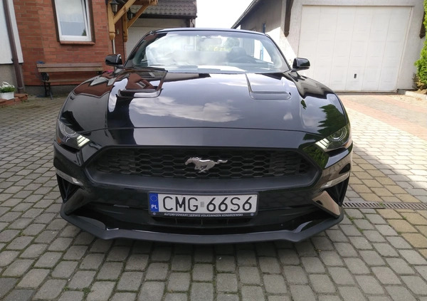 Ford Mustang cena 93000 przebieg: 100000, rok produkcji 2018 z Mogilno małe 326